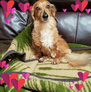 Meet your Posher, Donna